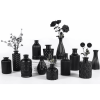 12pcs Glass Black Bud Vases Set, Small Vases for Flowers, Bud Vase for Centerpieces in Bulk, Mini Vintage Vase for Rustic Wedding Decorations, Office